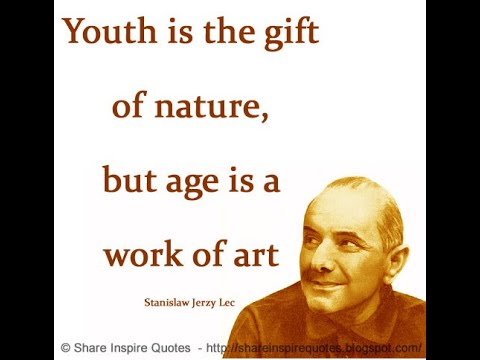 Original Youth Is A Gift Of Nature Middle Age Is A Work Of Art Iron On Transfer 