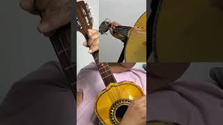 Al estilo del mariachi Nuevo San Marcos. #musica #grupodepuebla #musicaregional #armonia10 #parati