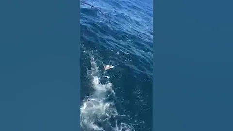 King on Diamond Jig