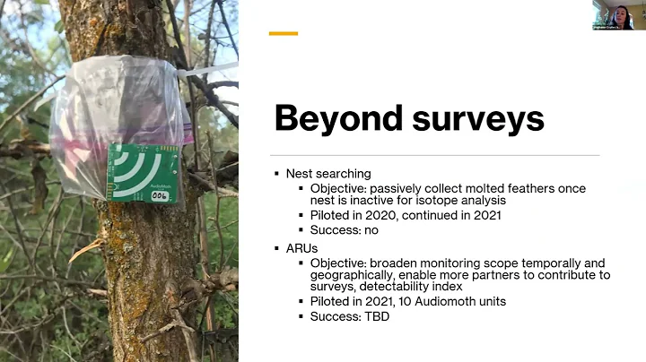 Cuckoo Symposium: Surveys and Monitoring, Part 1