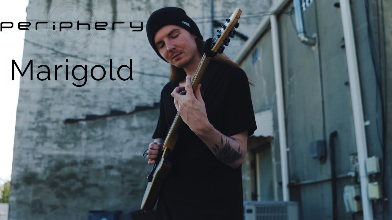 Marigold - Periphery | Logan Taylor (Guitar Cover)
