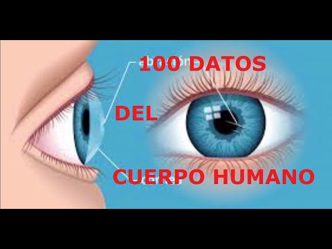 100 Quick Facts About the Human Body