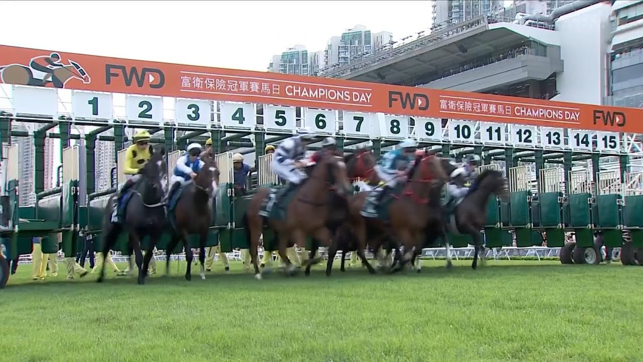 日本馬出走】G1・クイーンエリザベスII世カップ2026 / FWD QEII Cup