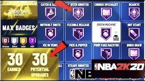 *NEW*NBA 2K20 BADGE GLITCH | NBA 2K20 DEMIGOD GLITCH | MAX ALL BADGES INSTANTLY