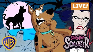 🔴 LIVE! #Scoobtober Watch Party! 📺👻 Scooby-Doo FULL EPISODES & MOVIES! @wbkids