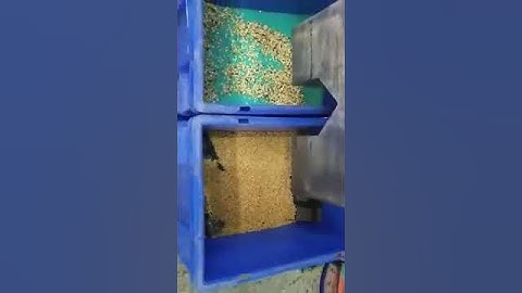 WYCS1-64 Red lentils color sorter machine