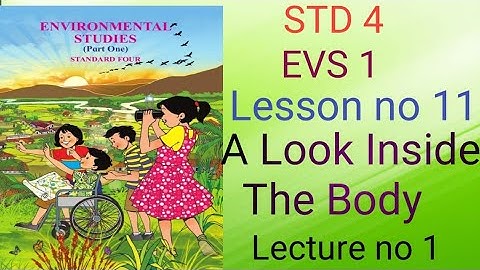STD 4 EVS 1 Lesson no-11 A Look Inside The Body(lecture no 1)