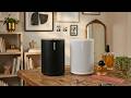Sonos Era 100 vs Era 100 SL – Don’t Buy the Wrong One!