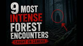 "Terrifying Forest Encounters" Real Moments Real Fear ,Caught On Camera😱