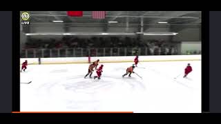 IMG 6439