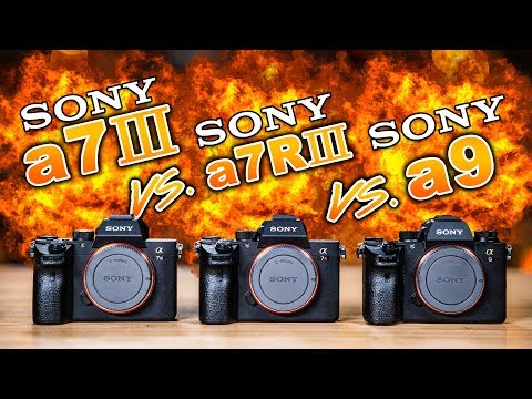 Sony a7 III vs Sony a7R III vs Sony a9: Which To Buy