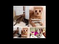 Super Funny Cat & Dog Videos 03