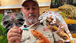 Fun Animals At The Reptile Zoo and More!