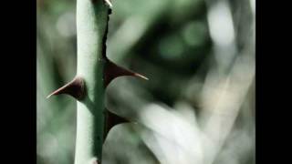 Nikon D3100 Sample Pictures Hd