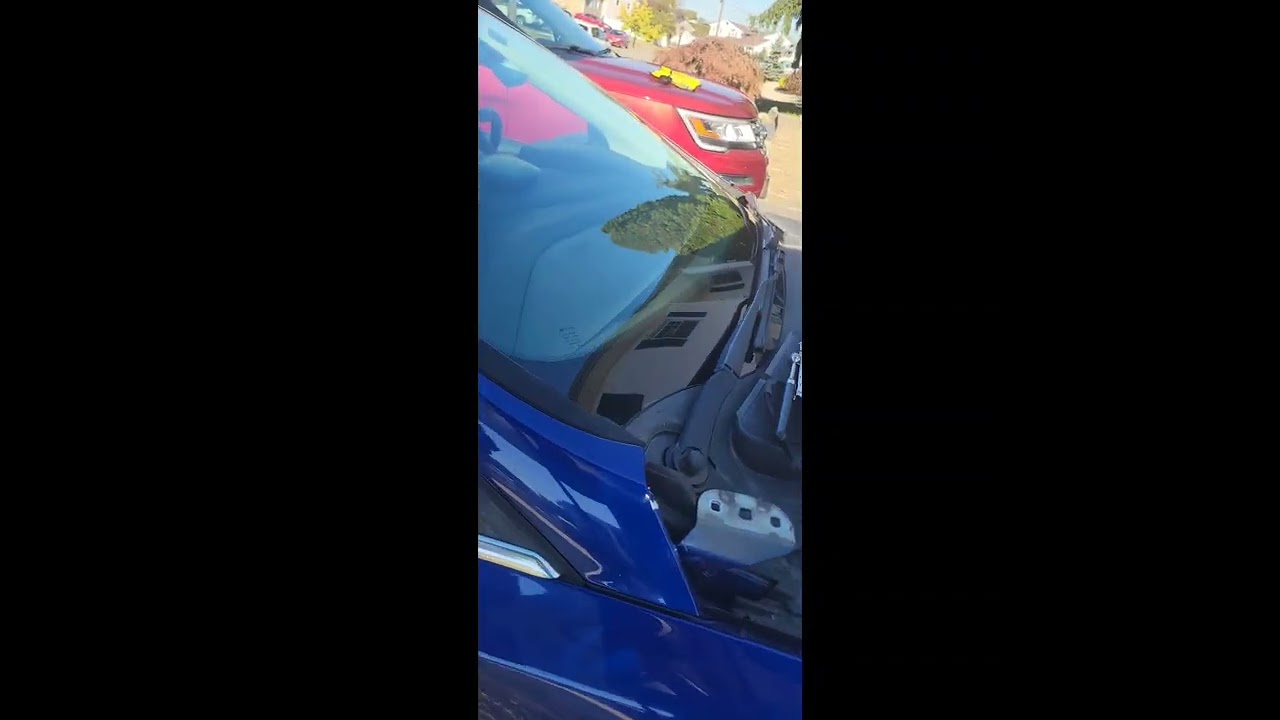 Ford Focus. Hood hinges replacement