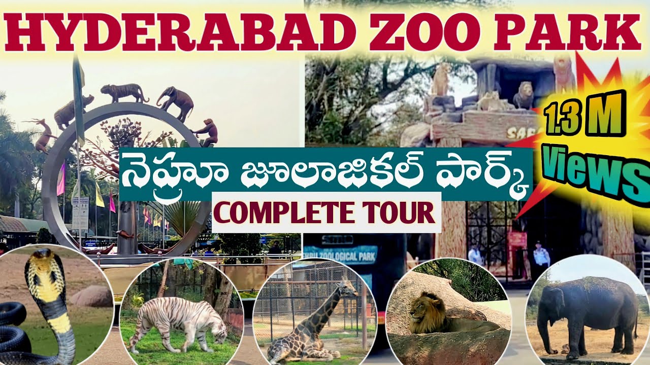 Nehru Zoological Park Hyderabad |Complete Tour | Safari | JPSarva Yatra