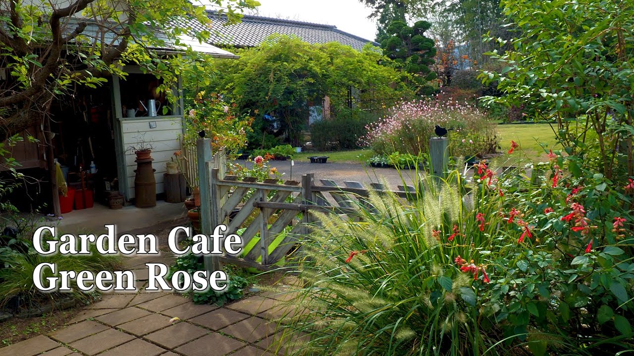 Saitama Private Residence Garden Cafe Green Rose Ms Yoshie Saito S Residence In Autumn 宿根草 4k Youtube