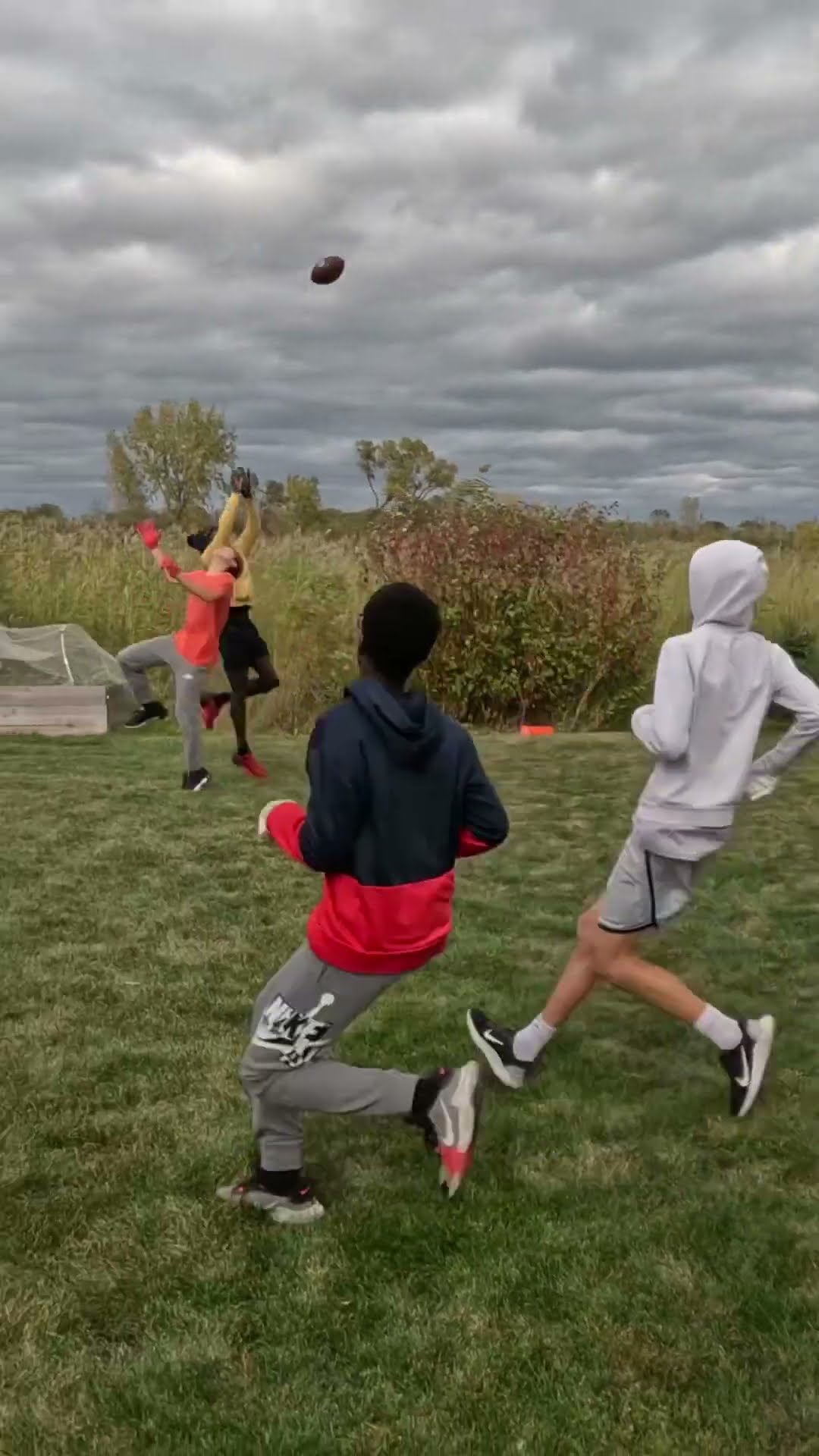 ￼ The best placed passes in backyard football history?!! #shorts #fyp #sports #viral #nfl #football