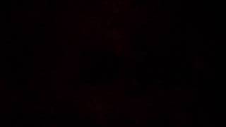 Capture 20110405