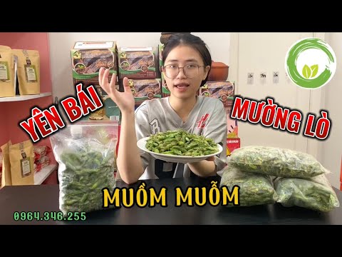 CON MUỖM TƯƠI | ĐẶC SẢN MƯỜNG LÒ- YÊN BÁI - YouTube