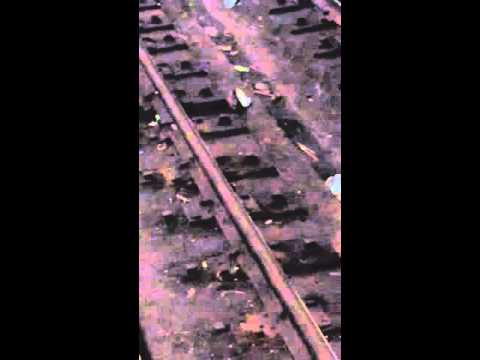 Burrito Rat Drags Full Burrito on NYC Subway tracks (original)