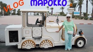 VLOG/ Марокко.Кошки повсюду.Козлы. Серое вино.(29.06.2016)