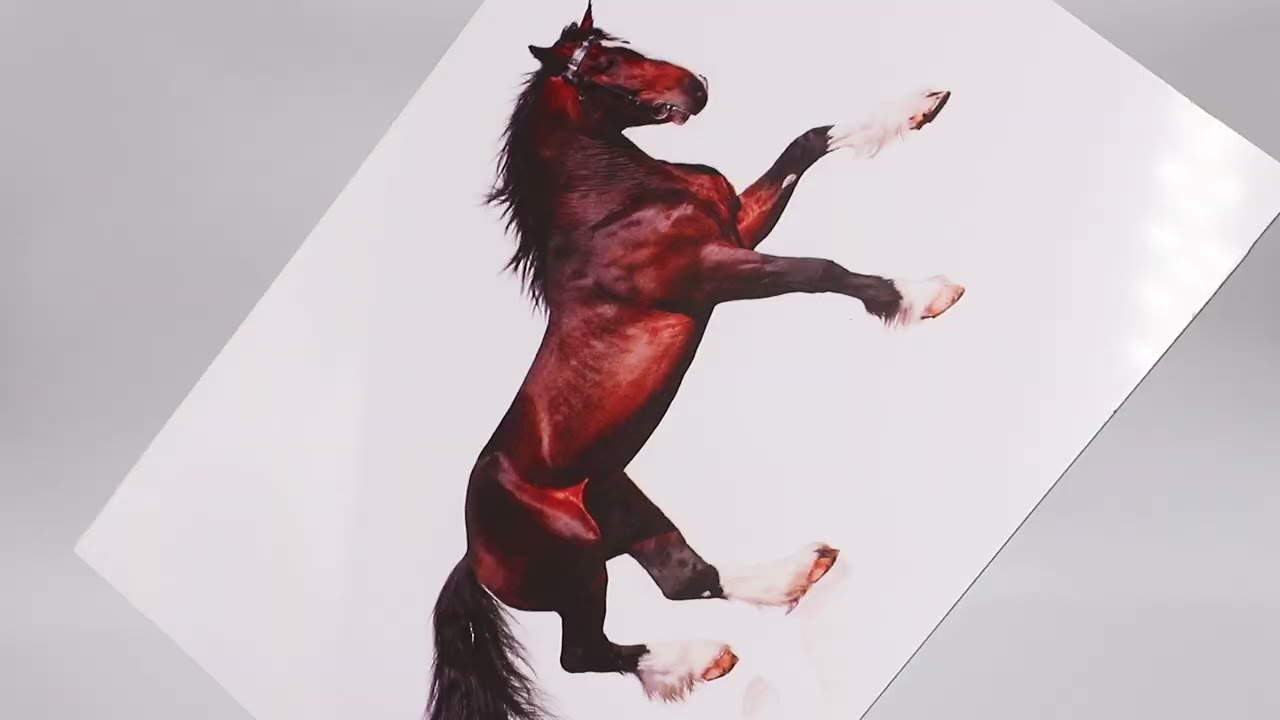 NEWCOBOND Printable ACP Signs Panel supplier