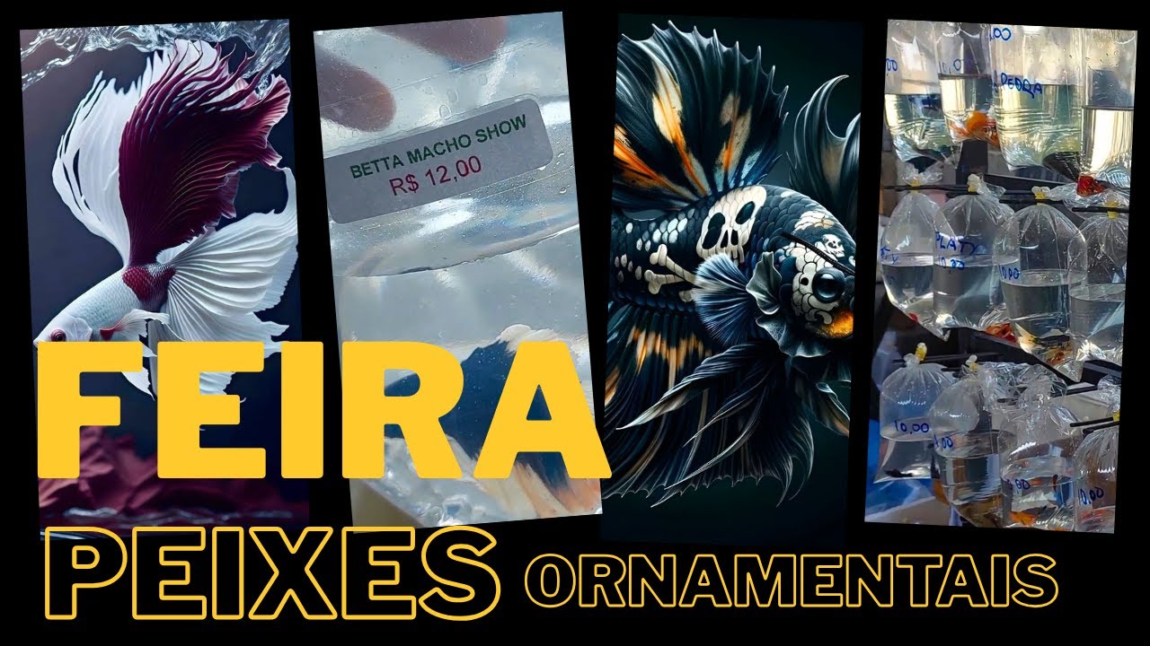 Feira de Peixes Ornamentais  A maior