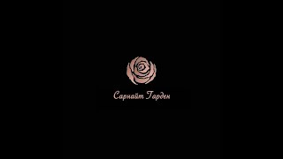 картинка: Сарнай цэцэг тарих заавар #1