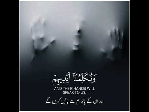 Whatsapp Status Download Quora / How to Download Whatsapp Status Video, Save Photos