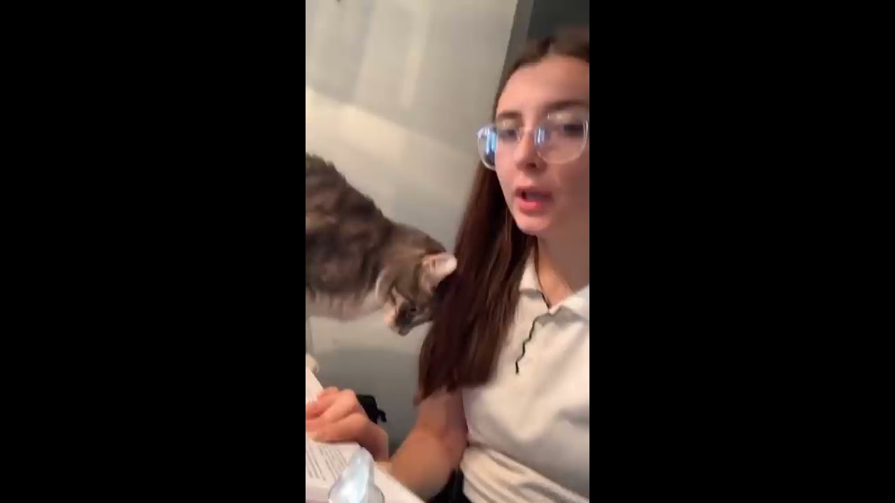 Mom Surprises Cat With Retaliation Bite ViralHog