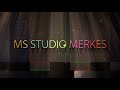 MS STUDIO MERKES Ork.zvezda JUZNI-RITAM Rest. IBRO-JUNIOR.