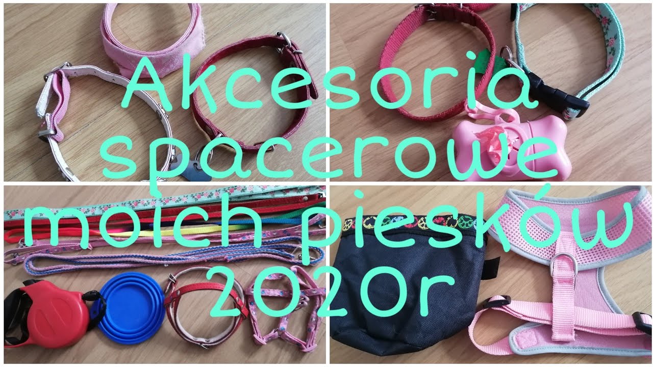 Akcesoria spacerowe moich piesków 2020r🐩