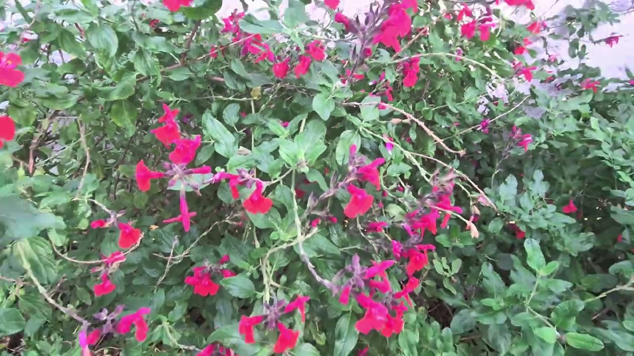 산림교육 관련 정책 #산림교육정책