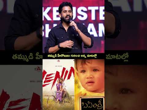 తమ్ముడి హీరోఇజం గురించి అన్న మాటల్లో | Akkineni NagaChaitanya |Akkineni Akhil | Lenin Movie |