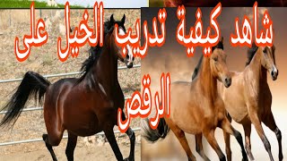 اسهل طريقة لتدريب الحصان على الرقص البلدي شوف و اتفرج مع المعلم محمود  @user-rx7up8pc3u