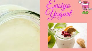 Easiyo Yogurt - Homemade Yogurt That’s Creamier Than Store-Bought 😍