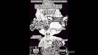 PURO RUIDO FEST, Live Split, Disnomia vS Fucking Noise