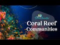 Coral reef communities  marine biology  the good and the beautiful