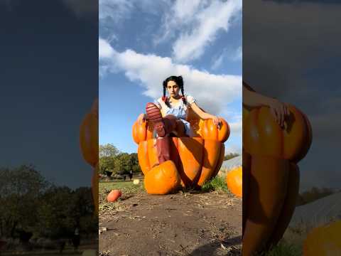 There’s no place like home on my pumpkin throne 🎃part 6