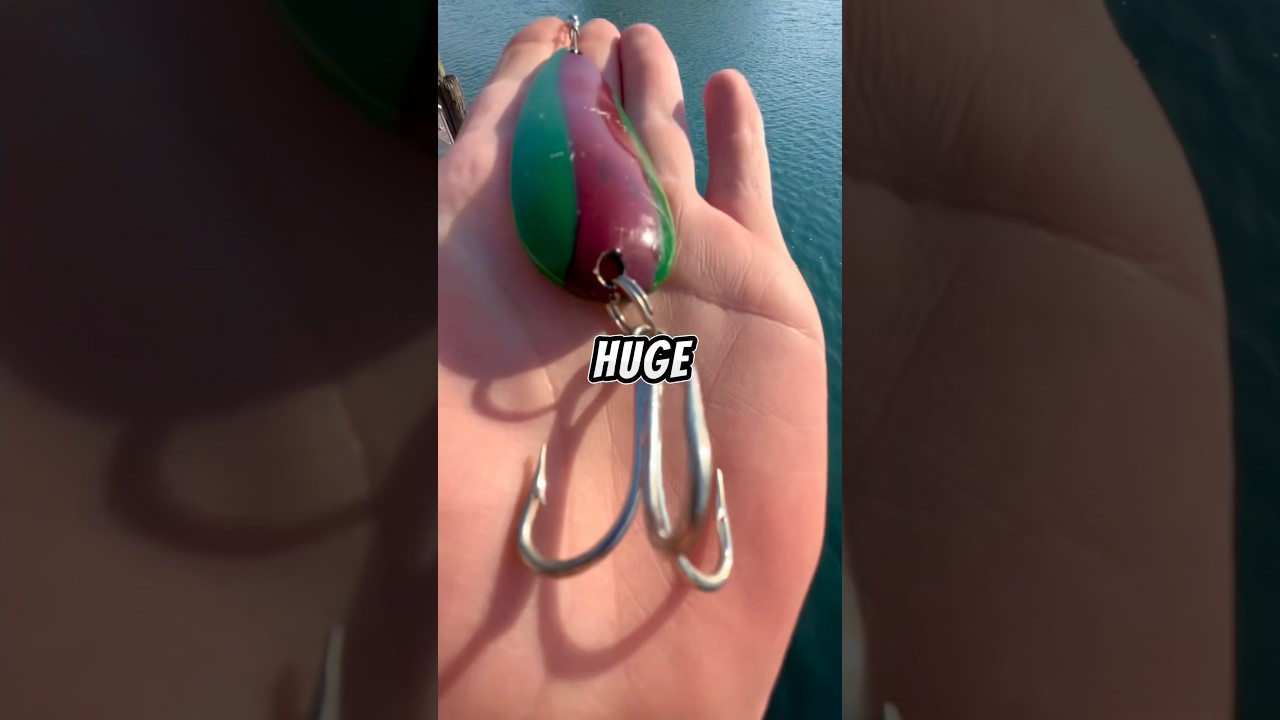Fishing with a HUGE SPOON 🐟🎣 