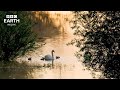 Relaxing Rivers Of The World | Wildlife, Water &amp; Soothing Music | BBC Earth Relax