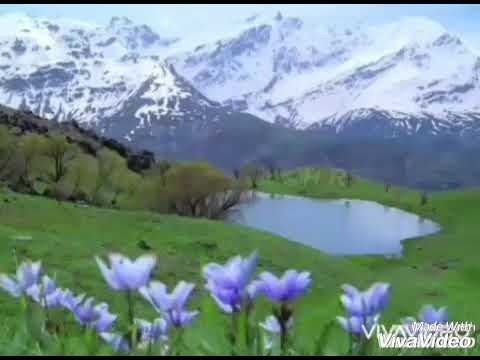 هاتوا الفوانيس ياولاد