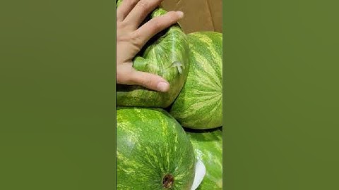 Watermelon without the melon