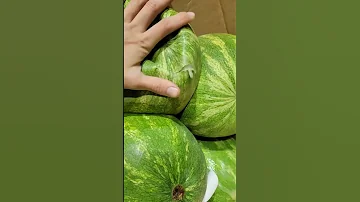 Watermelon without the melon