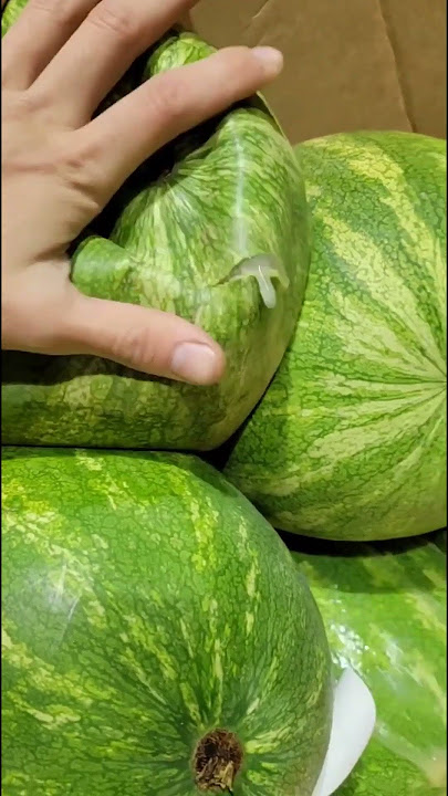 Watermelon without the melon