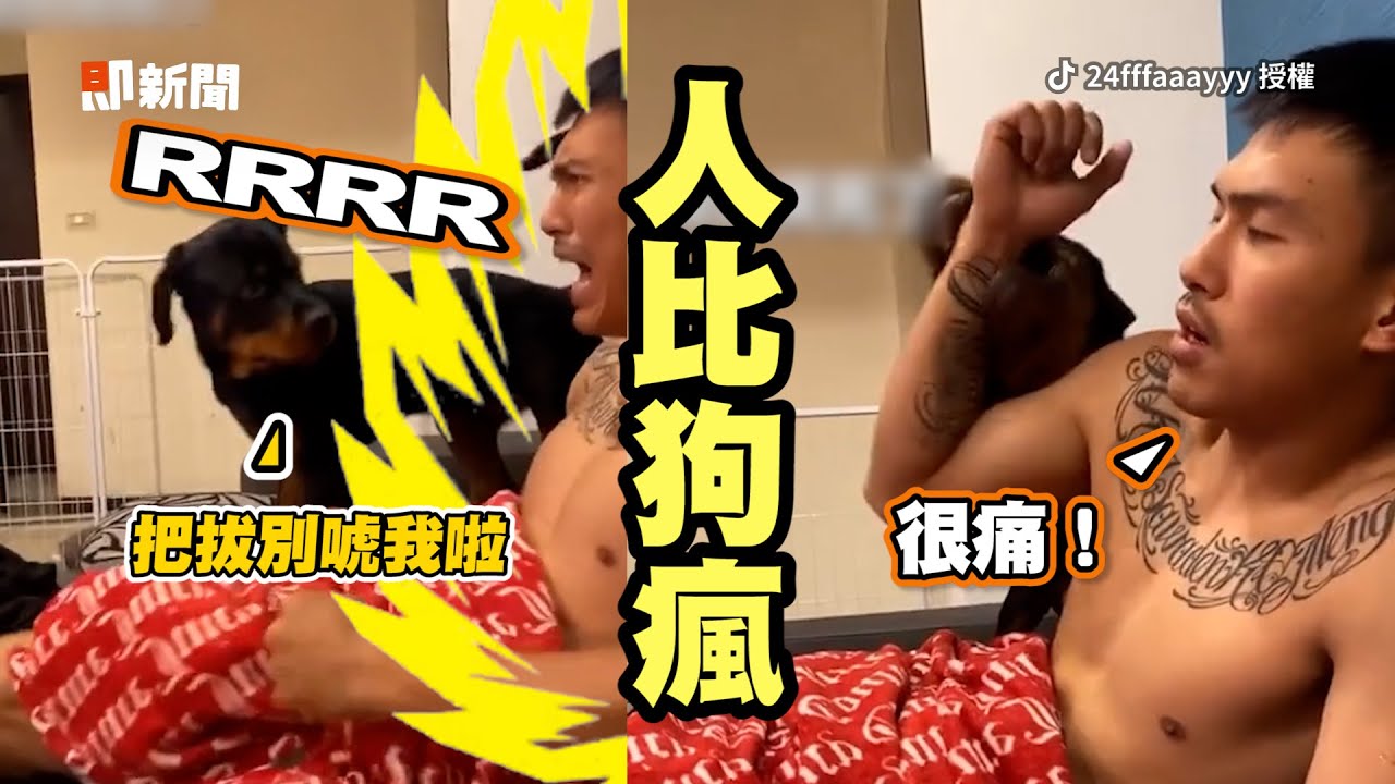 羅威納犬咬爸手熱情邀玩　他崩潰大叫仍被撲倒｜狗｜寵物｜毛小孩｜精選影片