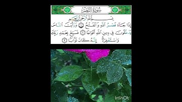 110//سورة النصر// الشيخ أيمن رشدي سويد