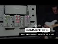 Broken Up Blues | Nail That Tone | Fender