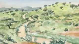 Extremadura Im Frühling Aus Dem Skizzenbuch Eines Vogelmalers